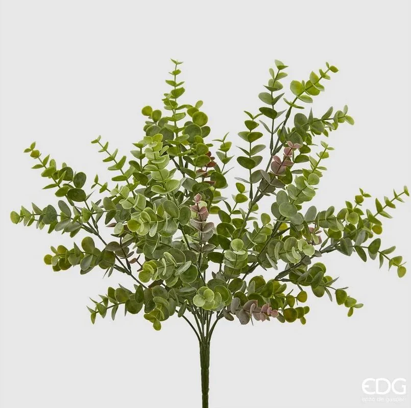 EDG - Eucalipto Cespuglio H.44 Green