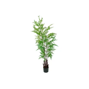 Felce Artificiale Real Touch 160cm