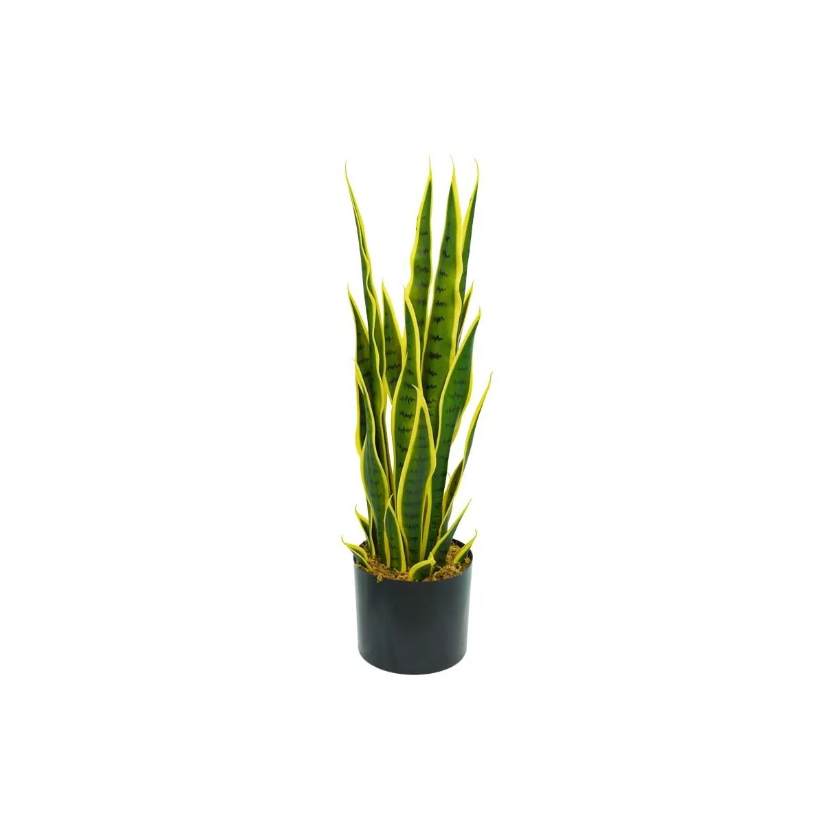 Pianta Sansevieria Artificiale 70 cm