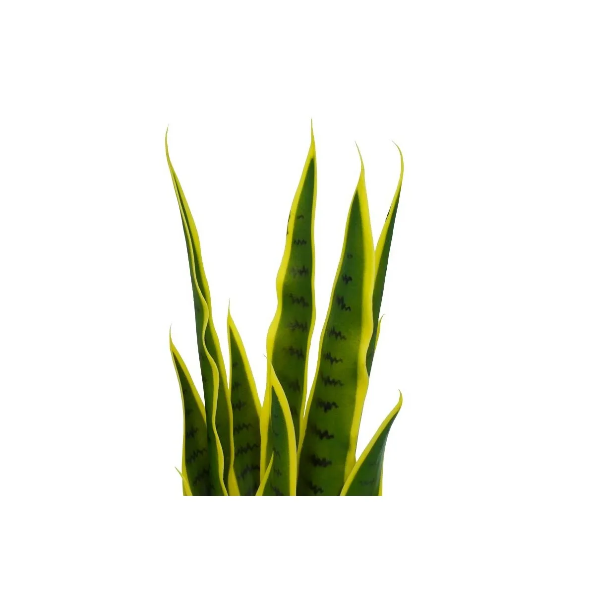 Pianta Sansevieria Artificiale 70 cm - immagine 3