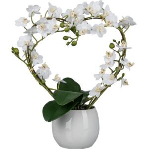 Phalaenopsis Artificiale a forma di cuore 40cm bianco con vaso di ceramica