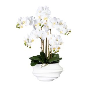 Phalaenopsis Artificiale 75cm bianco vaso di plastica bianco Real Touch