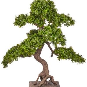 Bonsai Podocarpus Macrophyllus Artificiale 80 cm base in legno 30x30cm