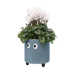 Fisura - Vaso Blue Occhi